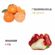 环球水果21R（定制A）